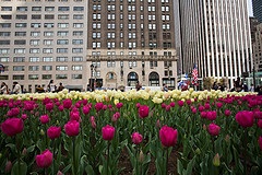 Revitalizing Spring Savings Now Available via FlexOffers.com