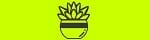 Succulent Studios, FlexOffers.com, affiliate, marketing, sales, promotional, discount, savings, deals, bargain, banner, blog,
